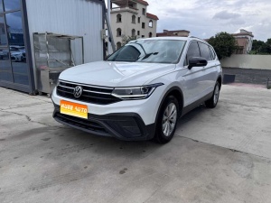 MY2024 Tiguan L Outstanding 300TSI AT 2WD Dragon drawing Version