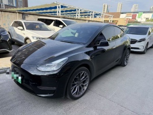 MY2021 Model Y Standard Range RWD 