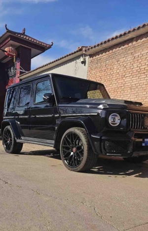 2019款 奔驰G级 G 500