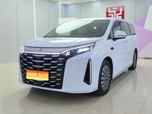 MY2025 Xia DM-i 1.5T 180km Exceed