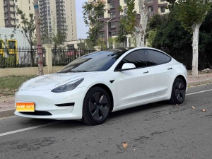 MY2021 Model 3 Facelift Standard Range RWD Upgraded 3D1
