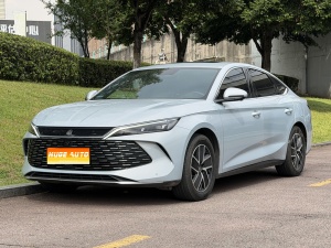 MY2024 Qin L DM-i 120KM Lead