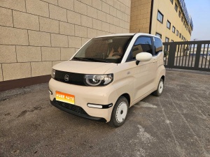 MY2024 QQ Ice Cream 205km Sundae