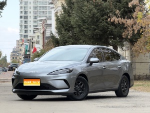 MY2025 Seal 05 DM-i I-Drive 55KM Luxury