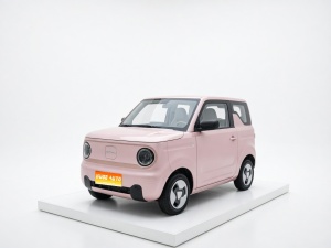2024款 熊猫mini 200km 耐力熊