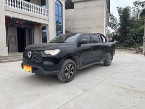 MY2021 Poer 2.0T Commercial MT Diesel 2WD Elite Version Long-van GW4D20M