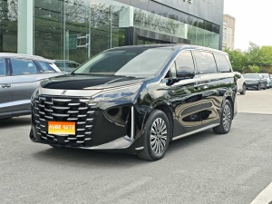 MY2025 Xia DM-i 1.5T 180km Excellence