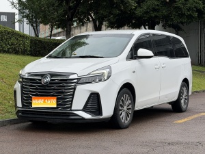 MY2023 Buick GL8 Land Business Class Comfort