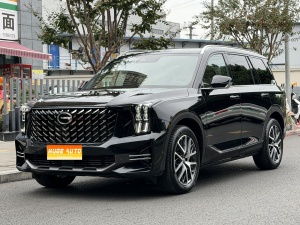 2024款 传祺GS8 领航系列 2.0TGDI 两驱豪华智联版 7座