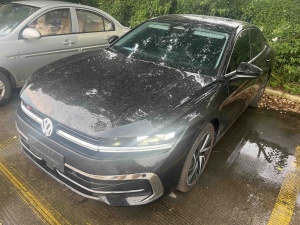 MY2026 Magotan 380TSI DSG Distinguished Version Design package