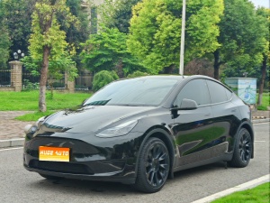 MY2022 Model Y RWD