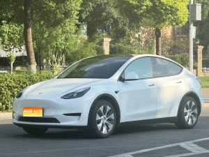 MY2022 Model Y Facelift RWD