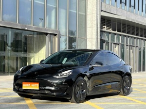MY2020 Model 3 Standard Range RWD Upgraded 