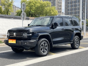 MY2023 Tank 300 City 2.0T Feasible
