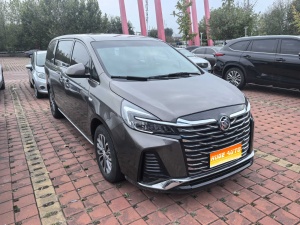 MY2023 Buick GL8 Land Business Class Comfort