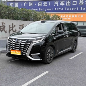 MY2025 DENZA D9 DM-i iDrive 1020 4WD Honor