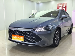 MY2024 Qin PLUS Honor DM-i 55KM Lead