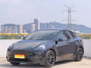 MY2021 Model Y Standard Range RWD 
