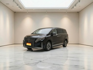2021款 传祺M8 大师系列 390T 四座御尊版