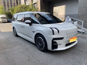 MY2022 ZEEKR 009 WE