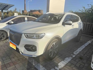 2020款 哈弗H6 2.0GDIT 自动铂金冠军版