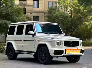 2020款 奔驰G级 G500
