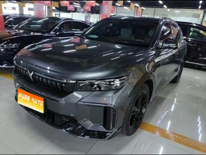 2025款 岚图FREE 318 318km 后驱环游版