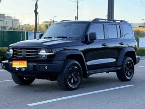MY2025 TANK 300 2.0T Petrol Conqueror