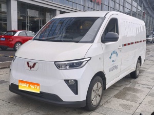 MY2024 Wuling Yangguang 300km Utility Fixed Window 60KW