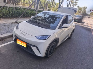 MY2025 Seagull 305km Vitality