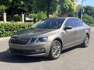2019款 明锐 TSI230 DSG智行舒适版 国VI