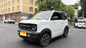 MY2025 Panda 210km Panda knight