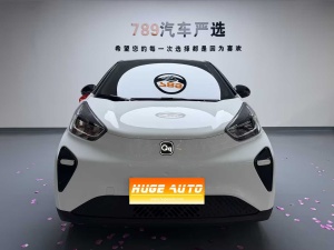 MY2024 Ant Facelift 321km Zhongai