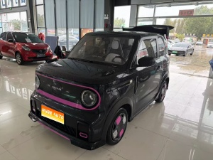 MY2025 Panda 210km Panda Kart