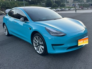 2019款 Model 3 标准续航后驱升级版