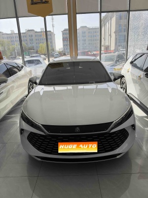 MY2024 Qin L DM-i 80KM Lead