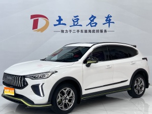 MY2022 Haval Chitu Enjoy 1.5T Copper Rabbit