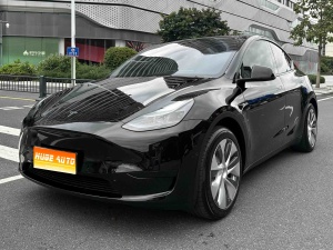 MY2022 Model Y Facelift RWD