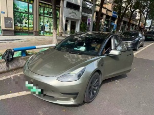 2021款 Model 3 标准续航后驱升级版 3D6