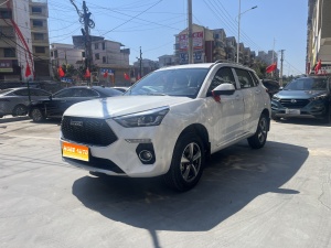 MY2020 Haval H6 Coupe Intelligent Connected 1.5T AT 2WD Luxury i-connect Version