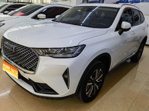 MY2022 Haval H6 3rd Generation 1.5T AT 2WD Pro