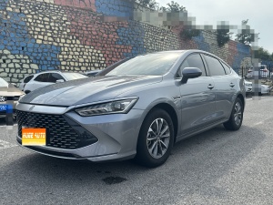MY2024 Qin PLUS Honor DM-i 55KM Lead