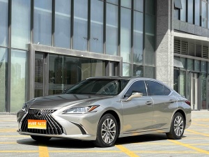 MY2023 LEXUS ES 200 Excellence Version