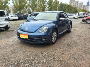 2018款 甲壳虫 180TSI 宜乐型