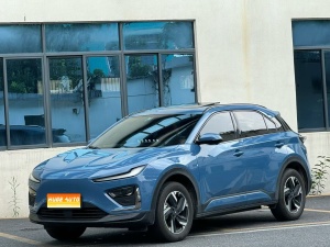 MY2024 NETA X 500 Exclusive Version