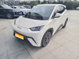 MY2025 Seagull iDrive 305km Vitality