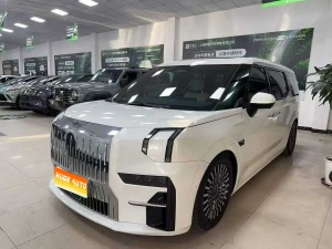 MY2022 ZEEKR 009 WE