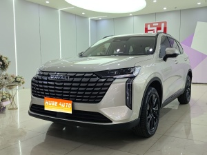 2024款 哈弗H6 2.0T 四驱Max