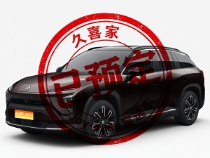 MY2019 NIO ES6 430KM First Edition 