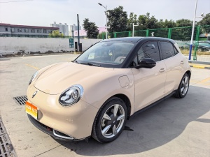 MY2021 Ora 03 400km Standard Range Venus Version Ternary Lithium